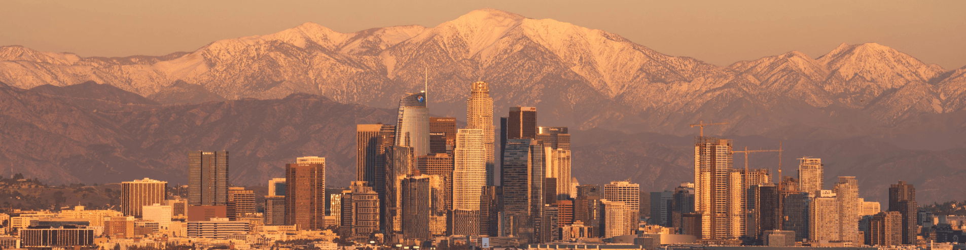 Cheap Flight Ticket to Las Vegas