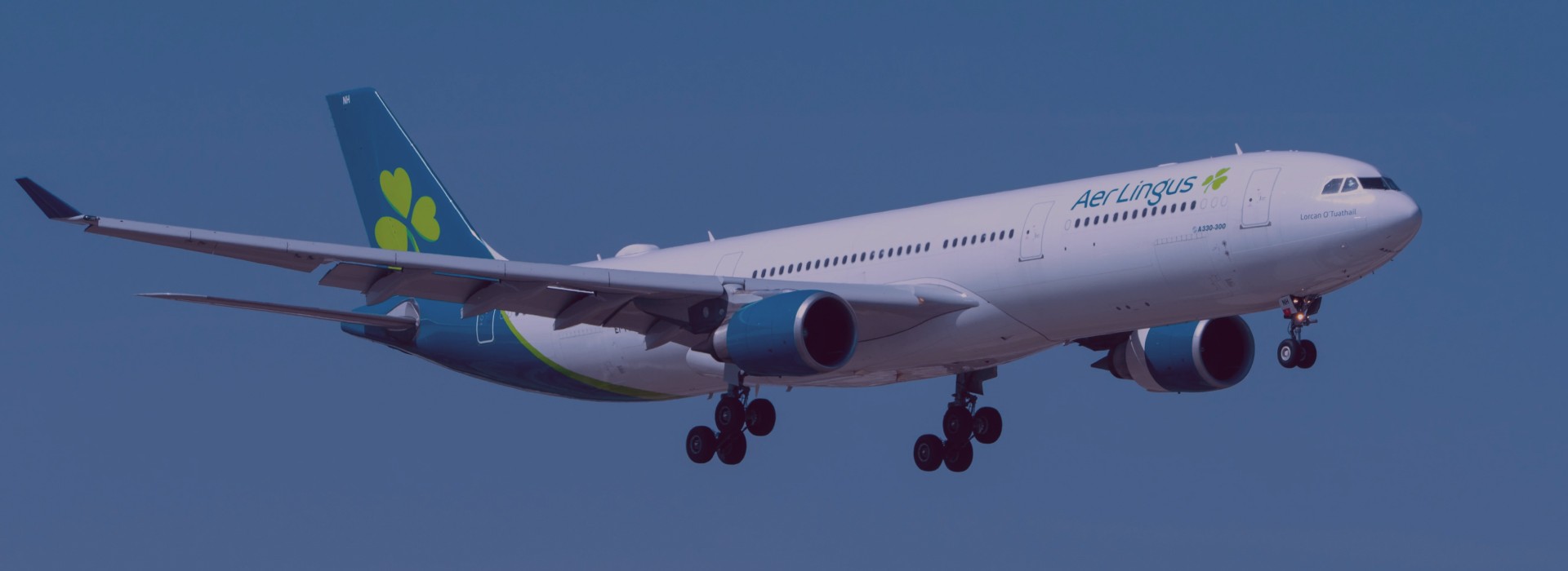 Aer Lingus Flight Booking: Cheap Tickets, Deals & Offers Online